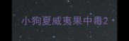 小狗夏威夷果中毒