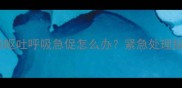 边境牧羊犬拉稀呕吐呼吸急促怎么办紧急处理指南与预防措施