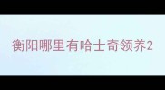 衡阳哪里有哈士奇领养