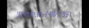 宠物电推子哪个好