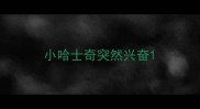 小哈士奇突然兴奋