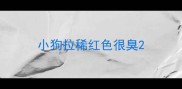 小狗拉稀红色很臭