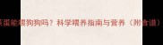 蒸蛋能喂狗狗吗科学喂养指南与营养附食谱