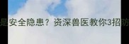 猫咪咬电线是安全隐患资深兽医教你3招防猫咬线技巧