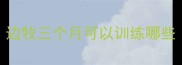 边牧三个月可以训练哪些