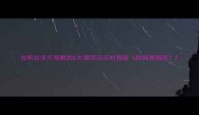 拉布拉多犬咳嗽的8大原因及应对措施附自救指南