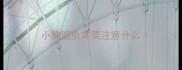 小狗驱虫需要注意什么