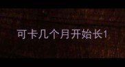 可卡几个月开始长