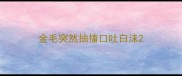 金毛突然抽搐口吐白沫