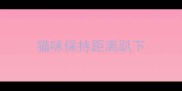 猫咪保持距离趴下