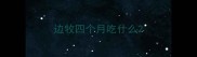 边牧四个月吃什么