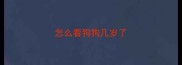 怎么看狗狗几岁了