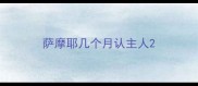萨摩耶几个月认主人