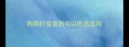 狗狗打疫苗后可以吃西瓜吗