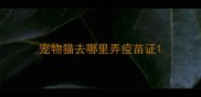 宠物猫去哪里弄疫苗证