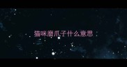 猫咪磨爪子什么意思