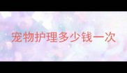 宠物护理多少钱一次