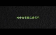 哈士奇很喜欢睡觉吗