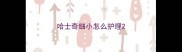 哈士奇细小怎么护理
