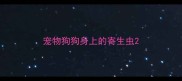 宠物狗狗身上的寄生虫