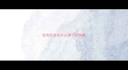 拉布拉多吃什么牌子的狗粮