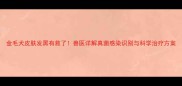 金毛犬皮肤发黑有救了兽医详解真菌感染识别与科学治疗方案