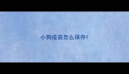 小狗疫苗怎么保存