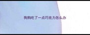 狗狗吃了一点巧克力怎么办