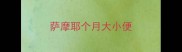萨摩耶个月大小便