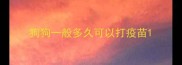 狗狗一般多久可以打疫苗