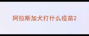 阿拉斯加犬打什么疫苗