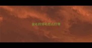 金毛的背毛怎么打薄