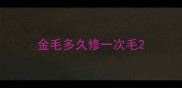 金毛多久修一次毛