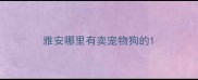 雅安哪里有卖宠物狗的