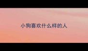 小狗喜欢什么样的人