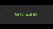 猫咪多大换成猫猫粮