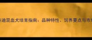 萨摩耶泰迪混血犬培育指南品种特性饲养要点与市场前景全