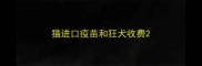 猫进口疫苗和狂犬收费