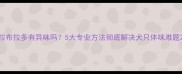 拉布拉多有异味吗5大专业方法彻底解决犬只体味难题