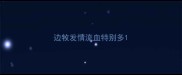 边牧发情流血特别多
