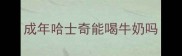 成年哈士奇能喝牛奶吗