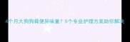 4个月大狗狗粪便异味重5个专业护理方案助你解决