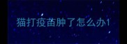 猫打疫苗肿了怎么办