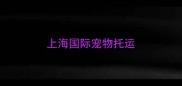 上海国际宠物托运
