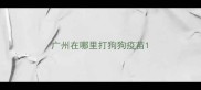 广州在哪里打狗狗疫苗
