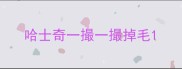 哈士奇一撮一撮掉毛