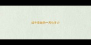成年泰迪狗一天吃多少