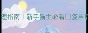 小猫打疫苗后黄金72小时护理指南新手猫主必看疫苗后这些禁忌动作千万别做