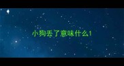 小狗丢了意味什么