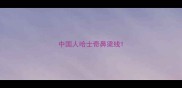 中国人哈士奇鼻梁线